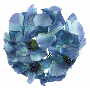 Hortensja główka z kulkami TT.Blue