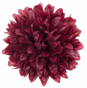 Chryzantema główka 16 cm Kwiat burgund