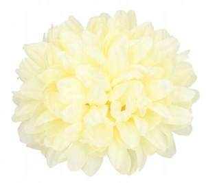 Chryzantema główka 16 cm Kwiat cream/yellow