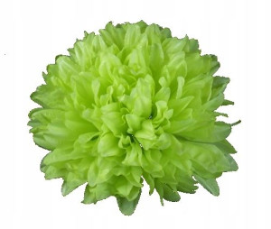 Chryzantema główka 16 cm Kwiat green