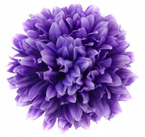 Chryzantema główka 16 cm Kwiat violet