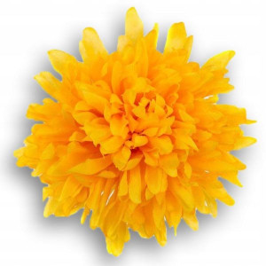 Chryzantema główka Kwiat yellow/orange 12 cm