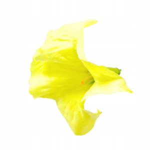 DATURA główka SZTUCZNE KWIATY Lt.Yellow/mint