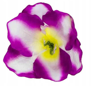 Amarylis główka SZTUCZNE KWIATY purple/white