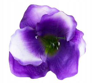 Amarylis główka SZTUCZNE KWIATY violet/green