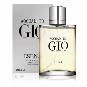 Aqcuad ID GIQ Esena Perfumy Męskie 100 ml EDP