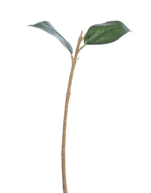 Łodyga do hortensji 36cm