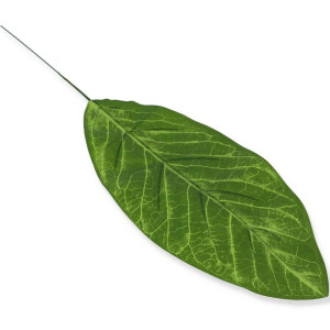 Liść zielony 50cm