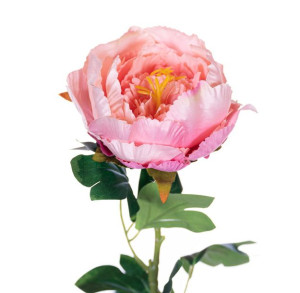 Peonia piwonia jasno różowa gałązka 68cm