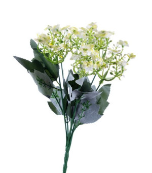 Kalanchoe zielone bukiet