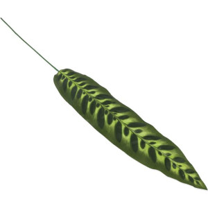 Liść pikok 68cm