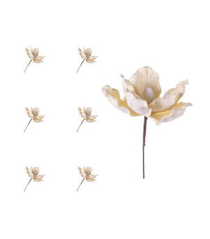 Magnolia kremowa 24cm zimowa 6 sztuk