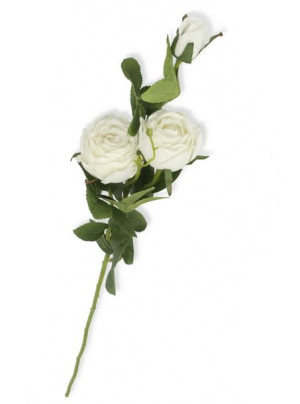 Róża gałązka kremowa 75cm