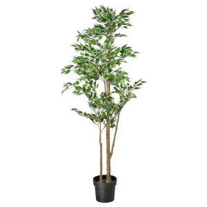 IKEA FEJKA Sztuczna roślina doniczkowa Figa płacząca, 21 cm