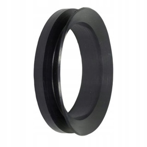 V-RING Pierścień uszczelniający VA 22 V22A