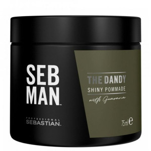 Sebastian Professional The Dandy lekko utrwalająca pomada do włosów 75ml