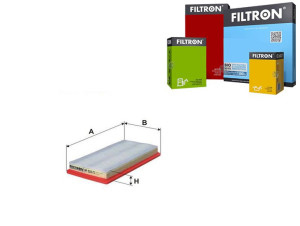 Filtr Powietrza Filtron