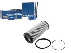 Filtr Oleju Vw A4 6 8 3,2 Fsi Quattro 04- Meyle