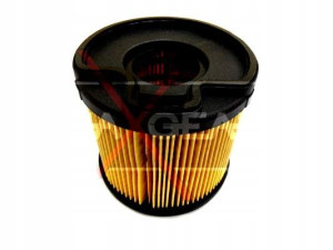 Filtr Paliwa Citroen 2.0hdi Maxgear