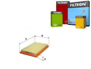 Filtr Powietrza Hyundai Filtron