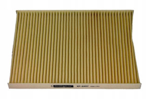 Filtr Kabiny Renault Koleos 08- Maxgear