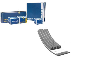 Pasek Wielorowkowy (4pk611) Meyle
