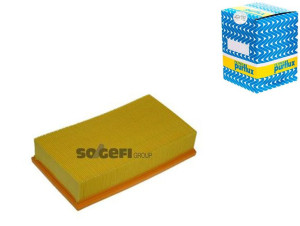 Filtr Powietrza Renault 2,2dci Purflux