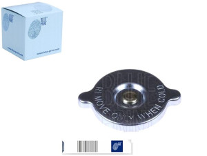 Korek Chłodnicy Nissan Blue Print