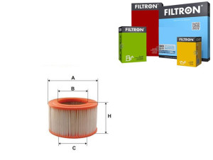 Filtr Powietrza Kia Pregio Filtron