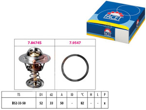 Termostat Toyota Yaris Facet