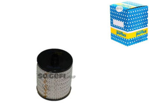 Filtr Paliwa Citroen Peugeot 3,0hdi 2009- Purflux