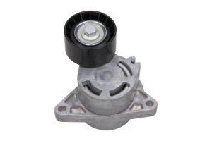 Napinacz Paska Klinowego Renaulto Maxgear