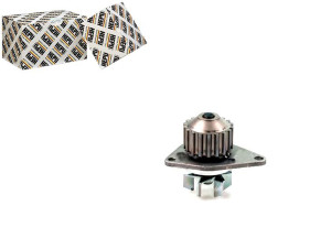 Pompa Wody Citroen 1,1 C3 Berl Hepu