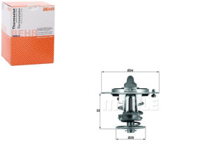 Termostat Ford Mazda Behr
