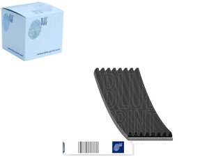 Pasek Wielorowkowy (8pk2190) Blue Print