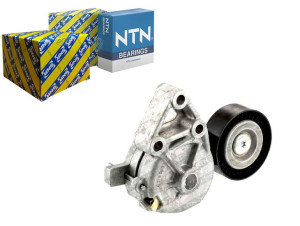 Napinacz Paska Wielorowkowego Audi A3 A4 Ford Gala