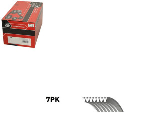 Pasek Wielorowkowy (7pk920) Gates