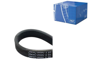 Pasek Klinowy Wielorowkowy [skf]