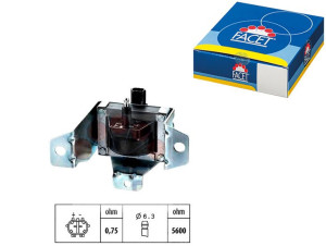 Cewka Zapłonowa Rover Facet