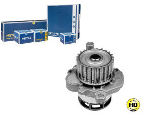 Pompa Wody Vw A3 A4 Golf V 2,0tfsi 04- Meyle