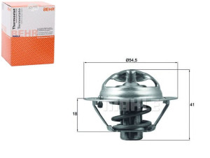 Termostat Dacia Nissan Renault Behr