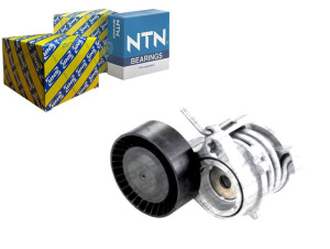 Napinacz Paska Wielorowkowego Bmw 3 (e46) 5 (e39)