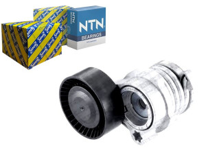 Napinacz Paska Wielorowkowego Bmw 5 (e60) 5 (e61)