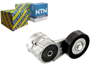Napinacz Paska Wielorowkowego Opel Astra G Astra G