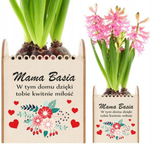 Doniczka Na Kwiatek Dzień Kobiet Dzień Matki Imię