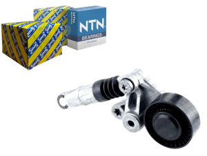 Napinacz Paska Wielorowkowego Audi A4 A5 A6 A6 All