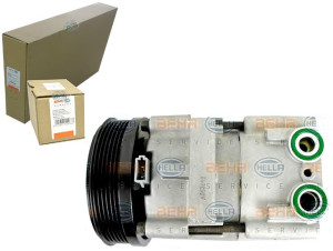 Sprężarka Klimatyzacji Ford Mondeo Fs10-170 Behr H