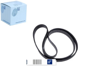 Pasek Wielorowkowy (6pk1080) Blue Print
