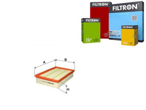 Filtr Powietrza Nissan Filtron