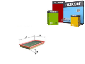 Filtr Powietrza Filtron
